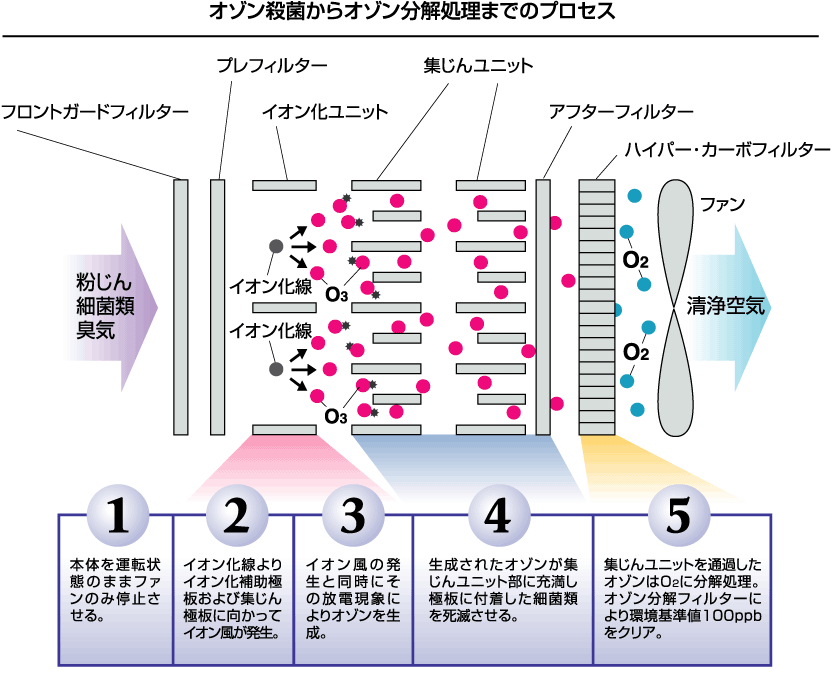 オゾン殺菌からオゾン分解処理までのプロセス